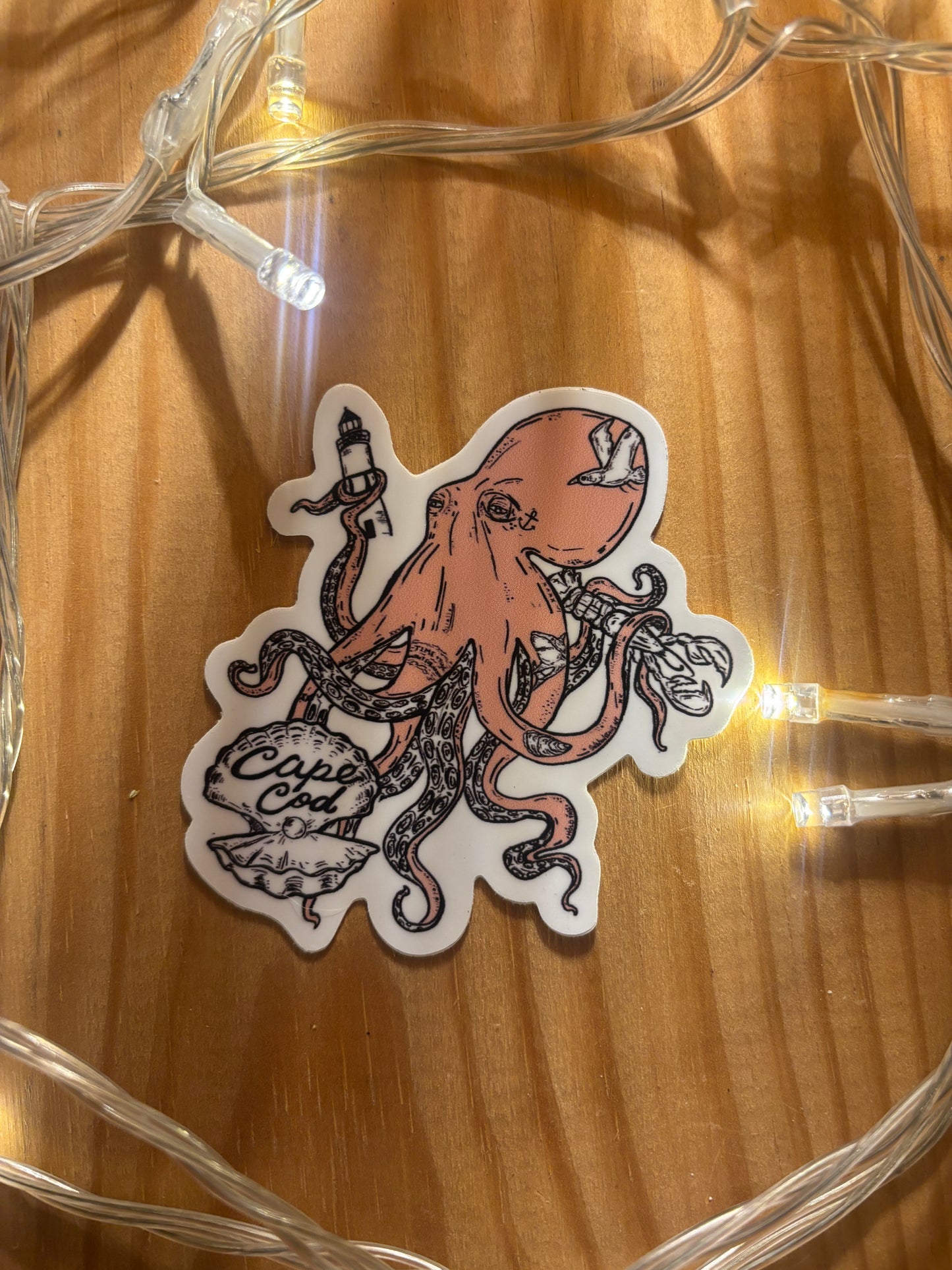 Cape Cod octopus